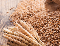 Ala carte Protein Product Test